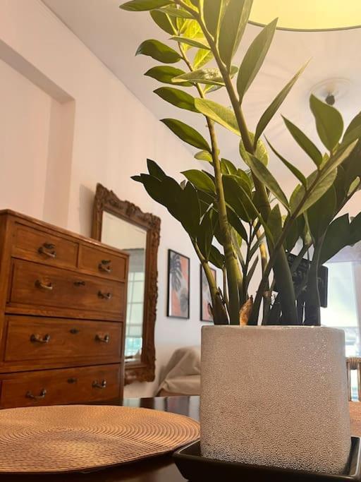 Apartment Athena3 *